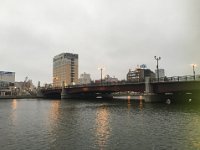 img (17)
